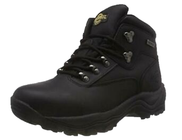 Northwest top territory boots